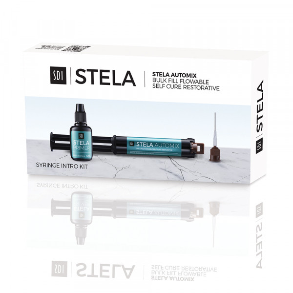 819966-stela-syringe-intro-kit-box-8640002.jpg